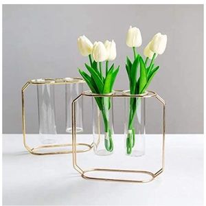 Test tube vase planter terrarium